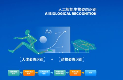 智博會第二日聚焦 網(wǎng)絡技術服務亮點全解析